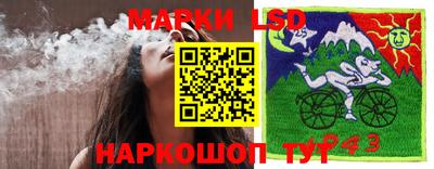 mdpv Шебекино