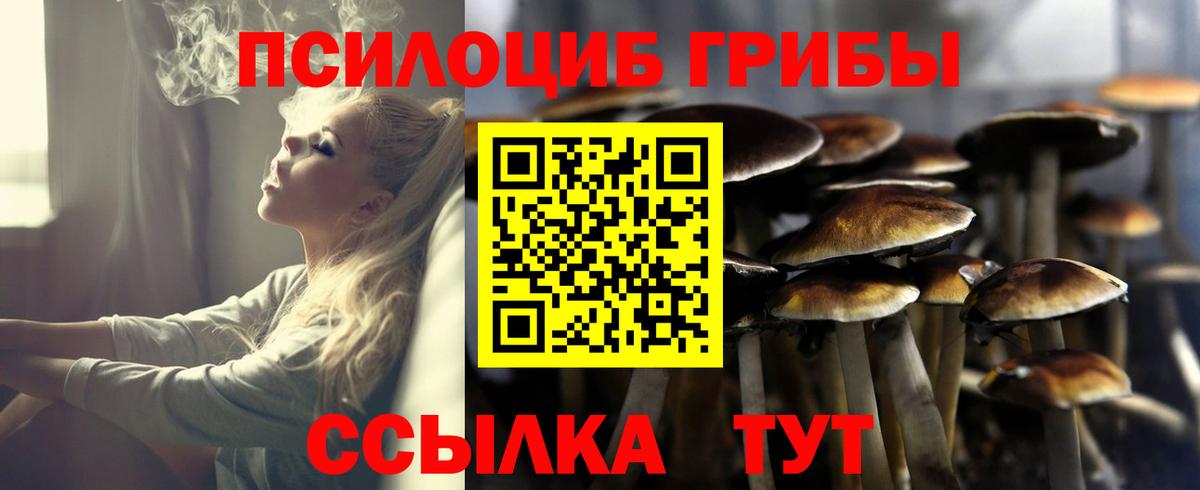 Артёмовский  Псилоцибиновые грибы MAGIC MUSHROOMS  Вход с VPN 